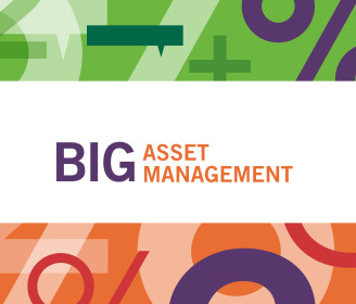 Big Asset management logo