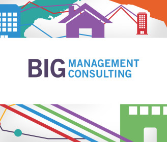 BIG management consulting logo