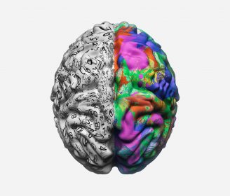 brain one half covered in numbers the other in different colors