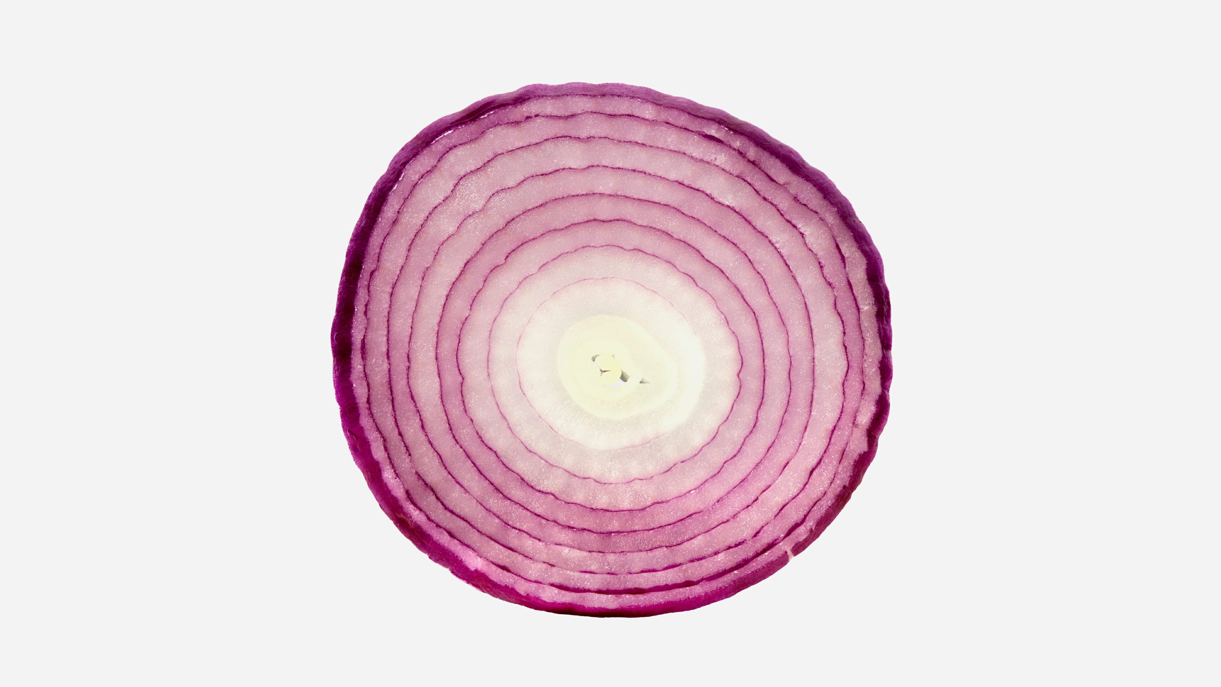 slice of a red onion