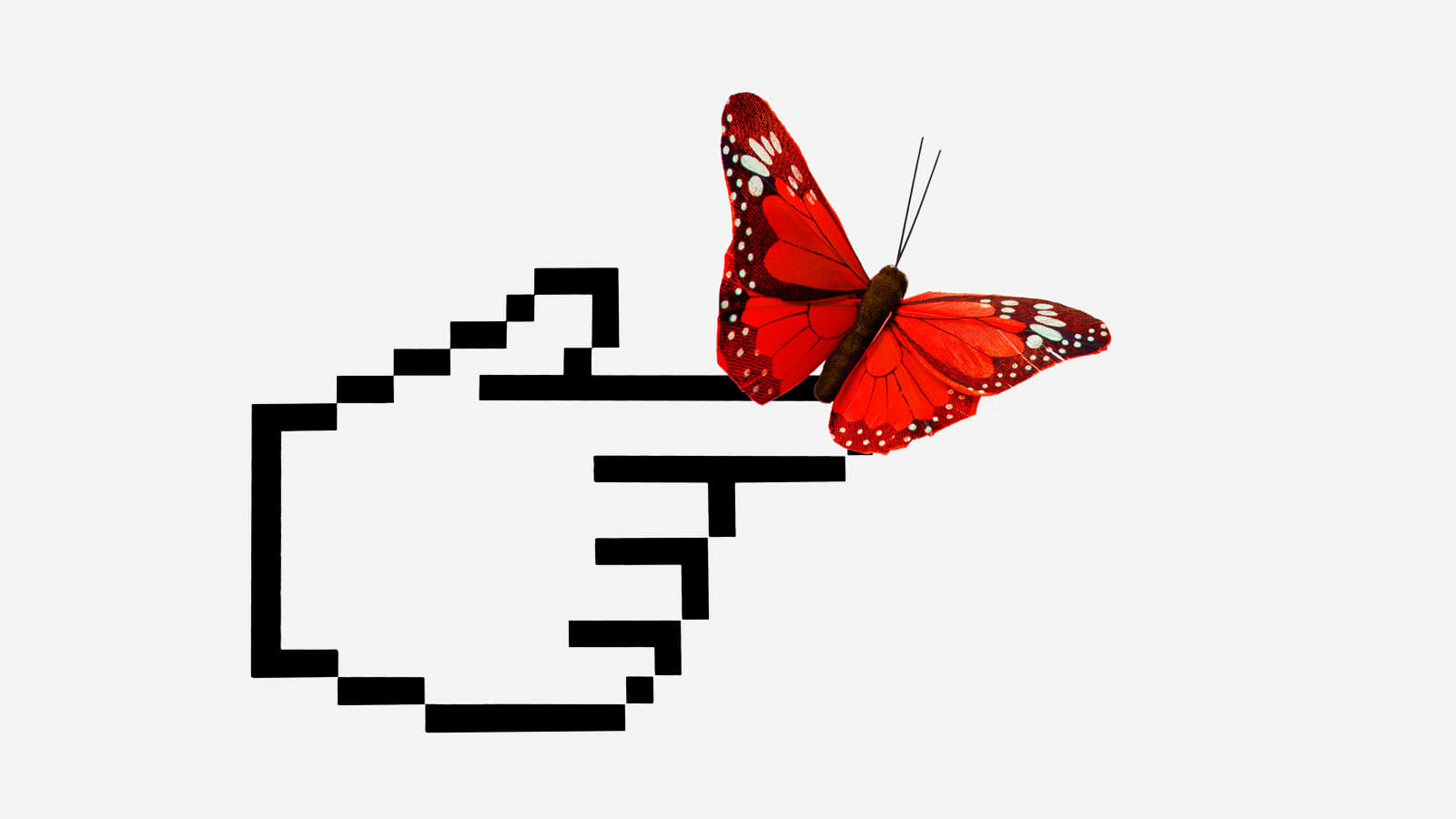 pointer with butterfly