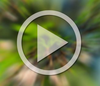 image of play button on video screen