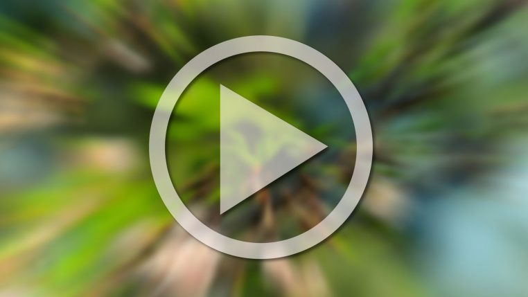 image of play button on video screen